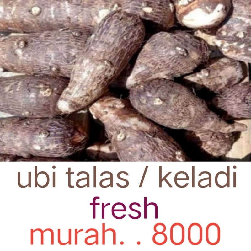 

ubi talas bali organik
