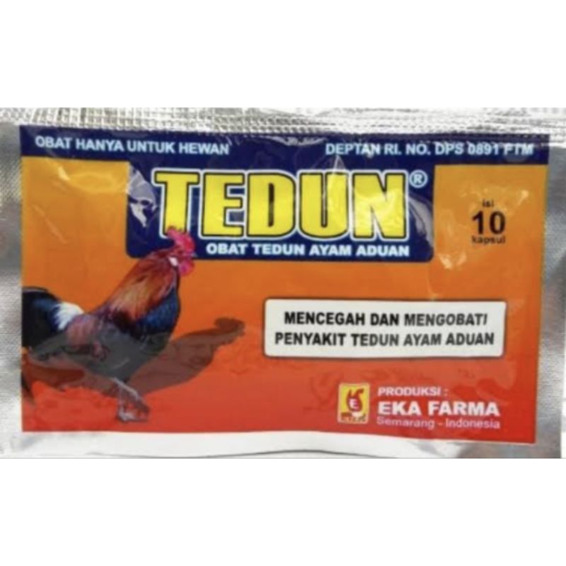 Tedun obat ayam unggas lumpuh pincang turun urat