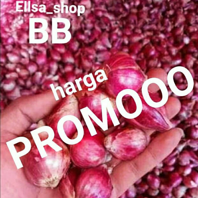 

Bawang merah Brebes super murah 1kg ukuran sedang, paling murah asli Brebes