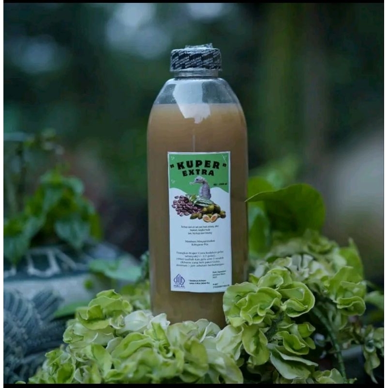 

Kuper extra tangkur kuda laut 1 liter