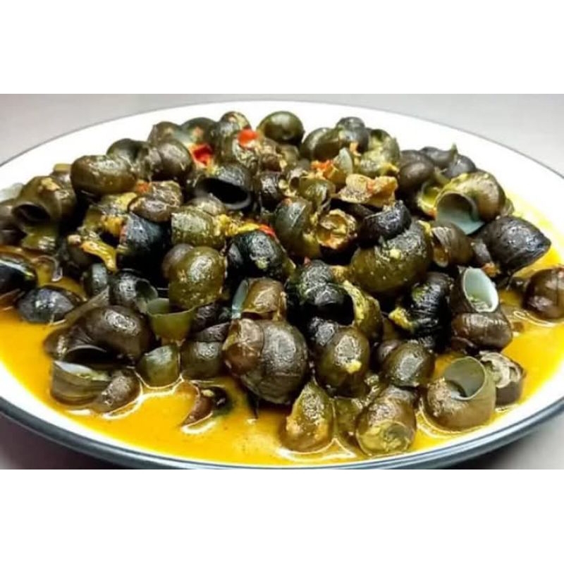 

100 Gram Tutut rebus Tanpa Bumbu