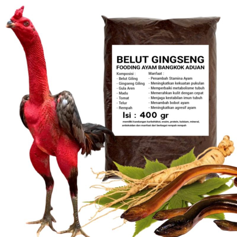 Belut gingseng 400 gr ekstra Fooding ayam aduan