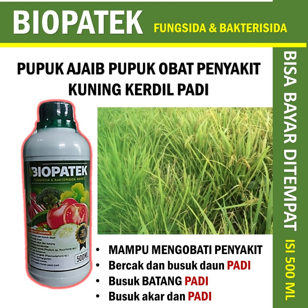 obat semprot biopatek 500 ML di jamin100 % ampuh - Obat Semprot Hama Kuning Kerdil Daun Padi Terampu