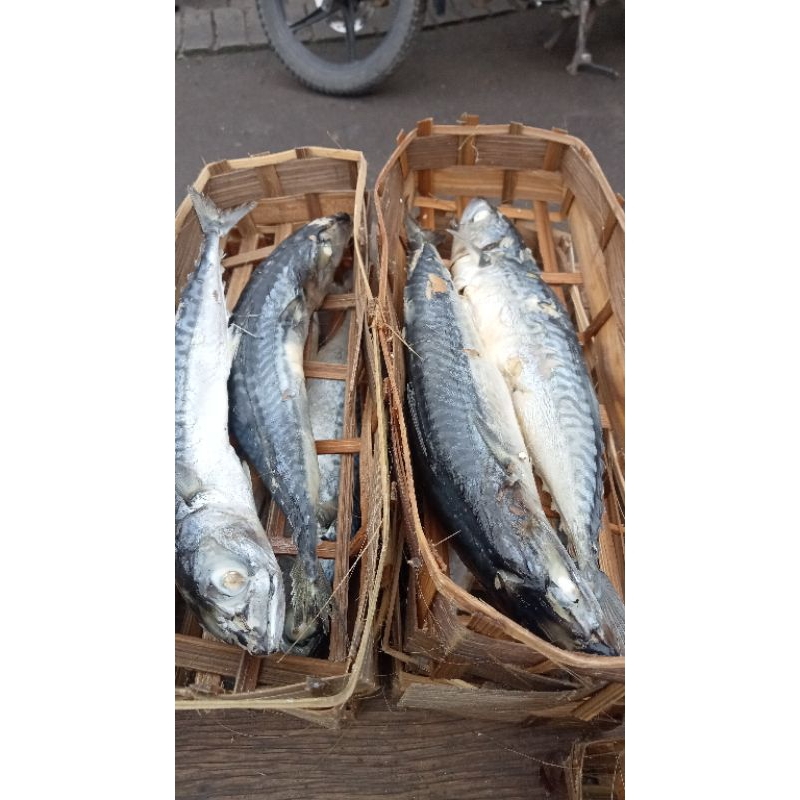 ikan Salem keranjang