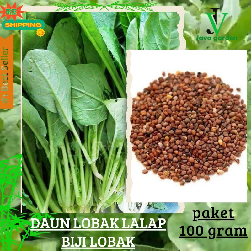 100 gram-BIJI LOBAK RADIS|BENIH LOBAK DAUN