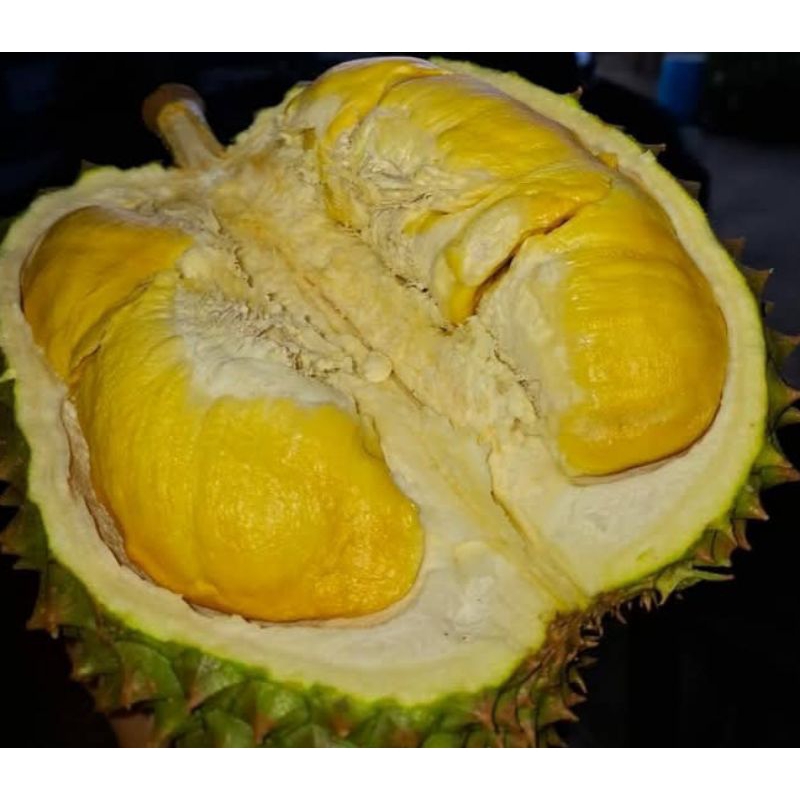 

Buah Durian Bawor Premium Satu Butir Fresh Sale