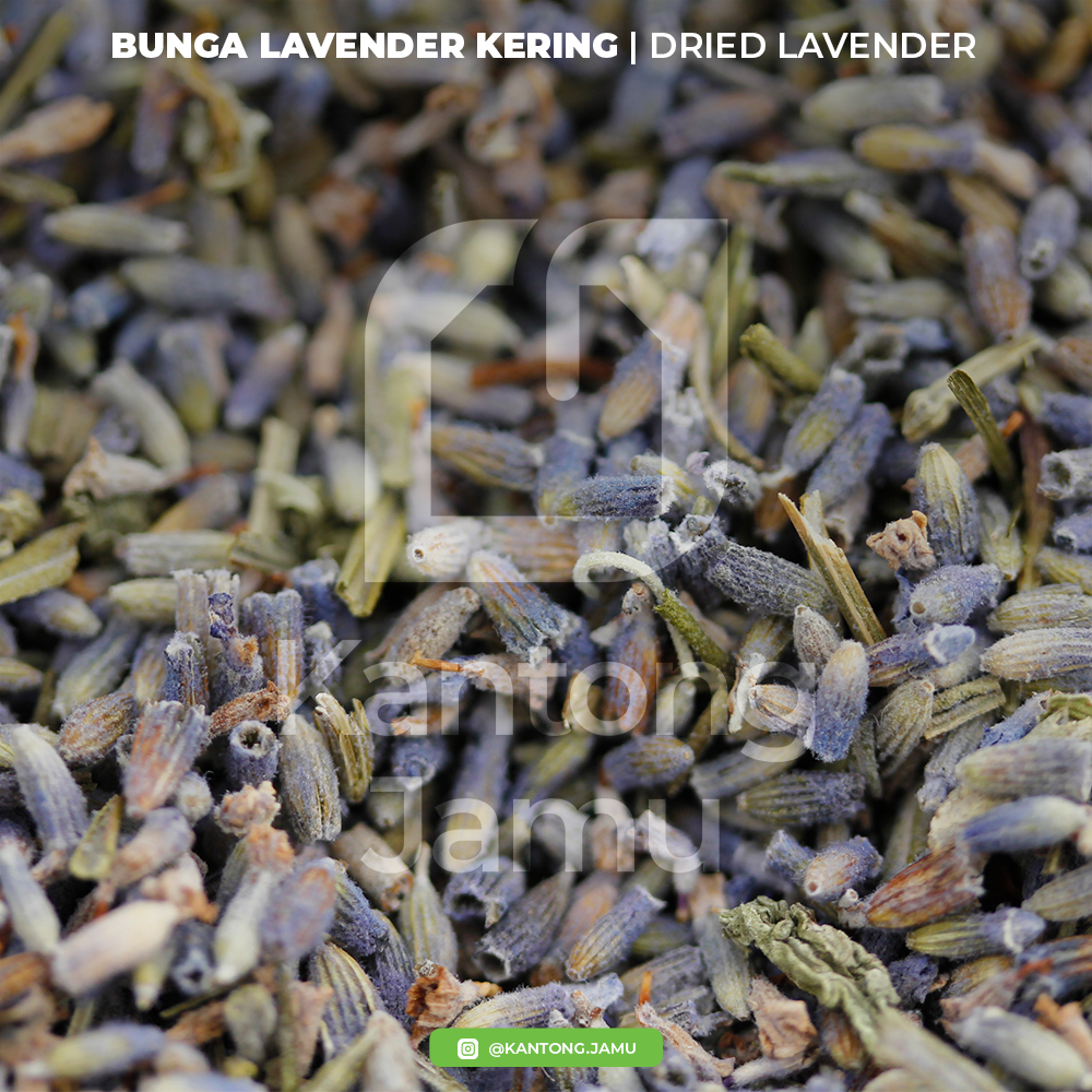 

Bunga Lavender Kering / Dried Lavender / 100% Alami / Kaja - Kantong Jamu