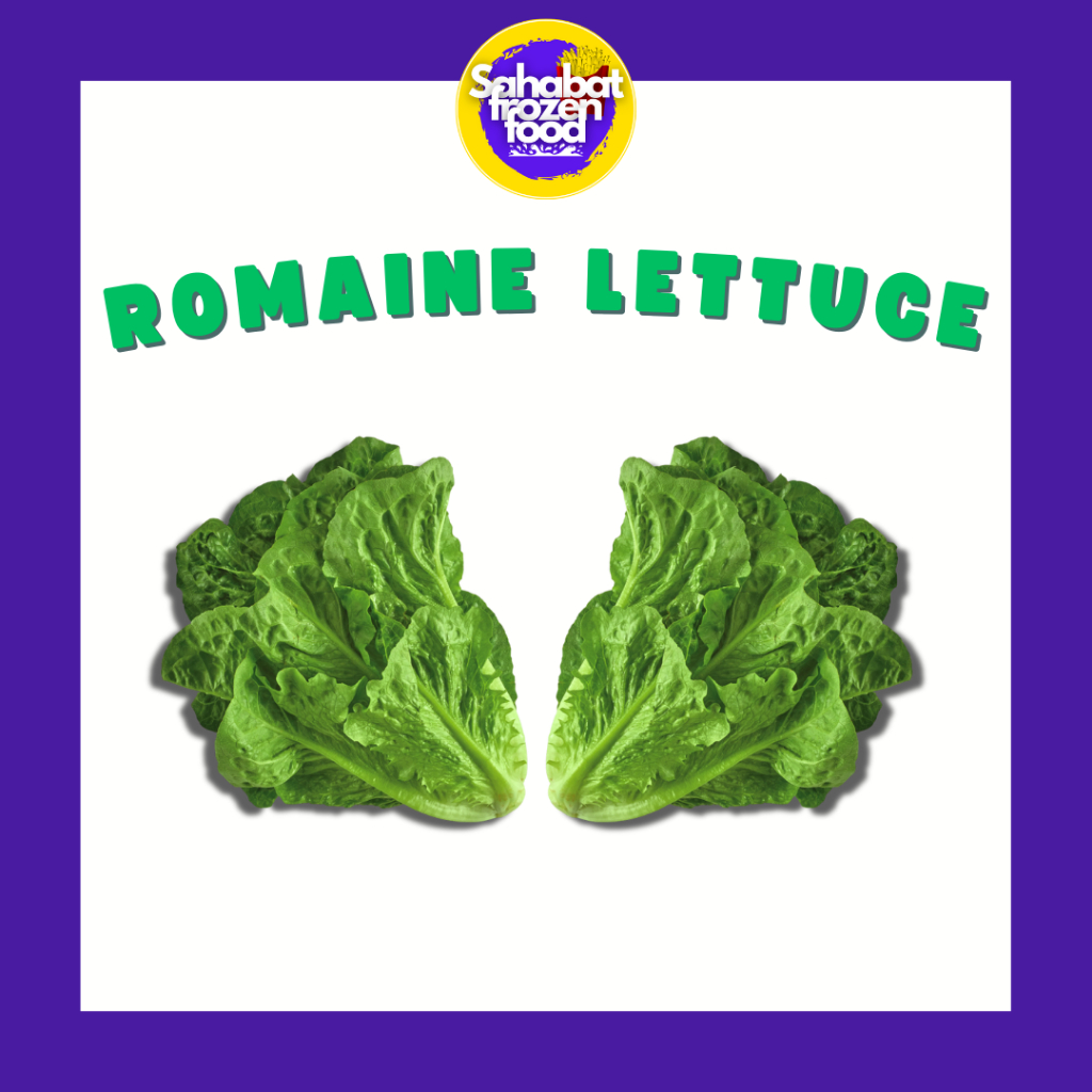 

Romaine Lettuce 200 gram / 1 Ikat