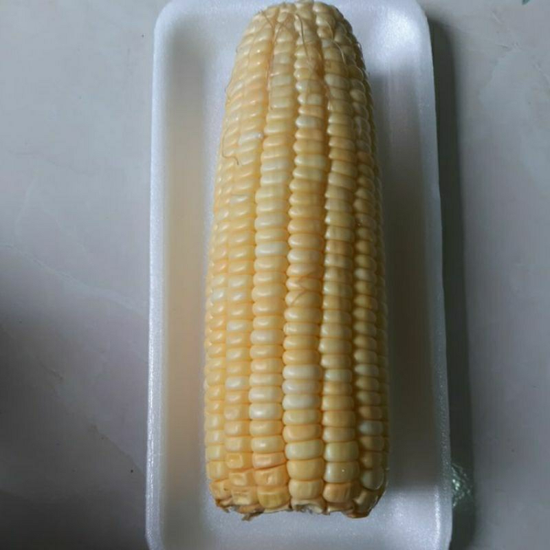 

Jagung Manis Super
