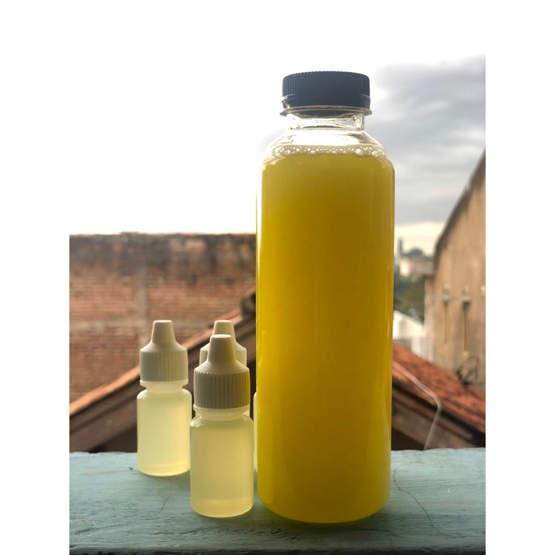 PAKET PERAWATAN MUNCANG ADU SUPER KUAT/ MINYAK KALIKI & JAMU MUNCANG SUPER/ PAKET PENGERAS MUNCANG A