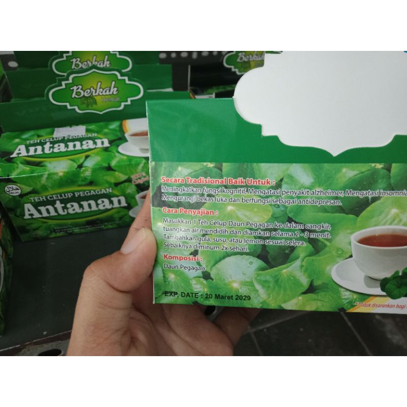 

TEH PEGAGAN (ANTANAN) bantu melancarkan haid & sirkulasi darah, anti depresan