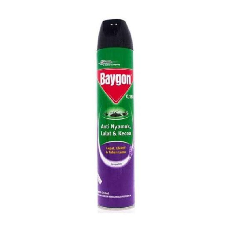 Baygon aerosol 750 Ml