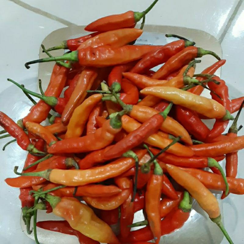 

Cabe Rawit Merah Segar 100gr