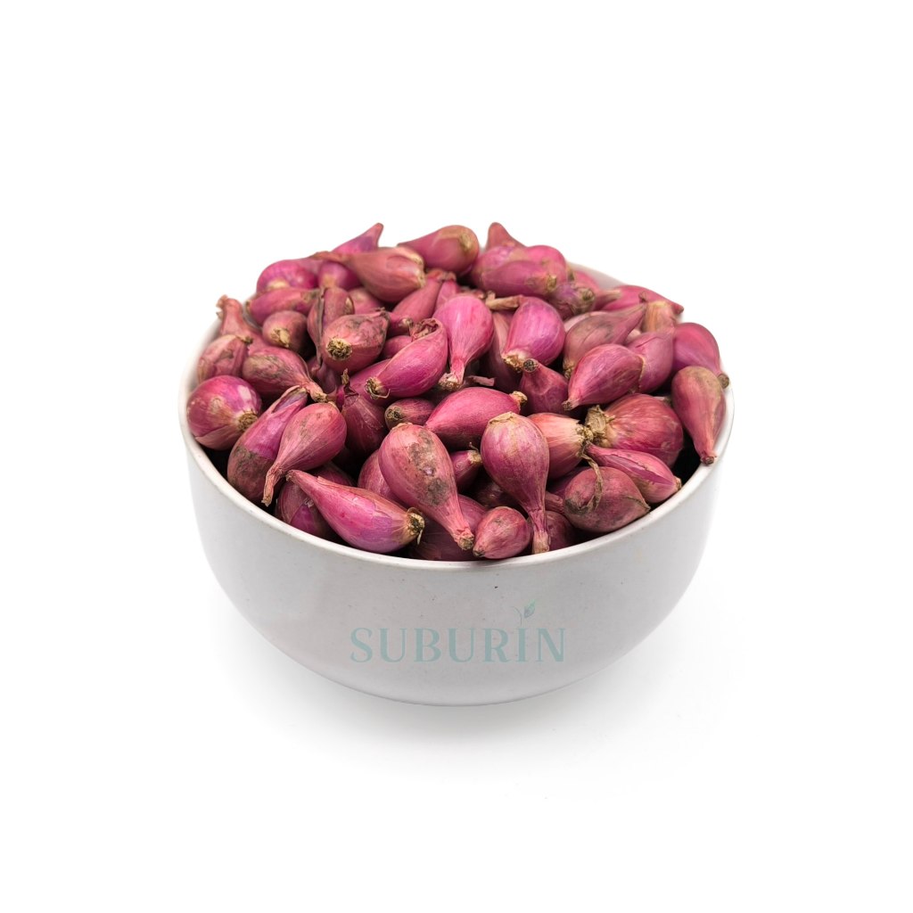 

Bawang Merah Brebes Ukuran Kecil Fresh Kering - Bawang Merah Berkualitas Tinggi dari Indonesia