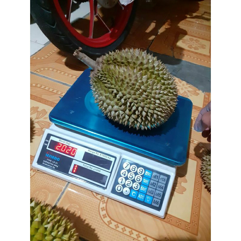 

Durian Lokal Wonosobo Utuh Perbuah Ukuran Besar (-+2KG)