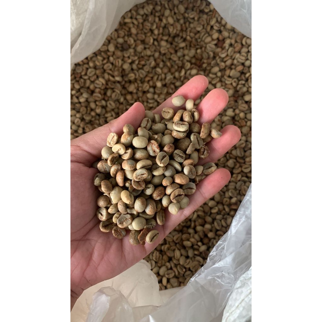 

Biji Kopi/Green Bean Robusta Toraja G1 1KG