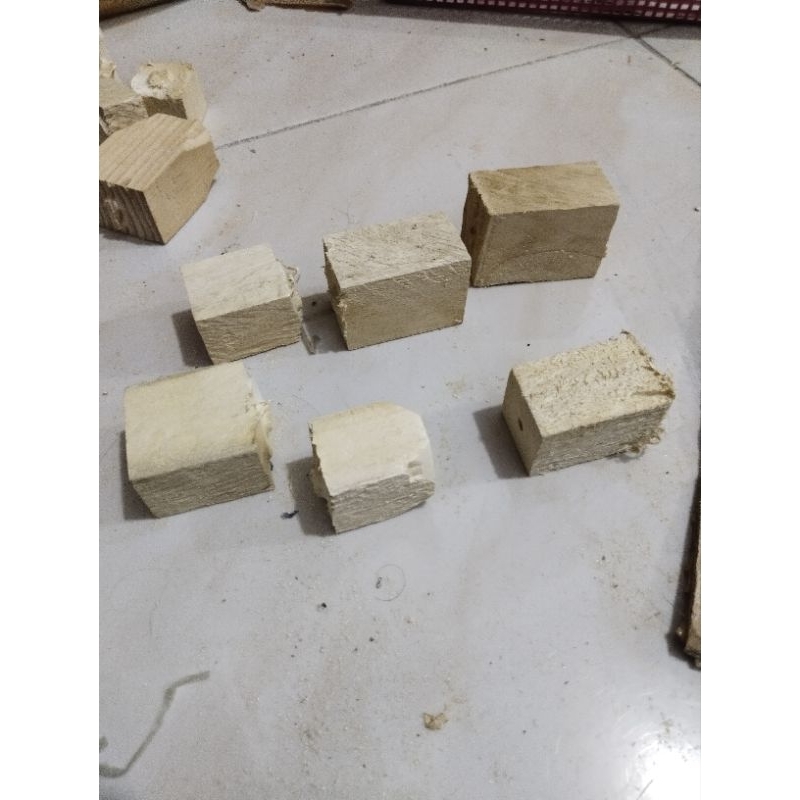 KAYU PULAI UNTUK BUAT UMPAN LURE / PELAMPUNG PANCING