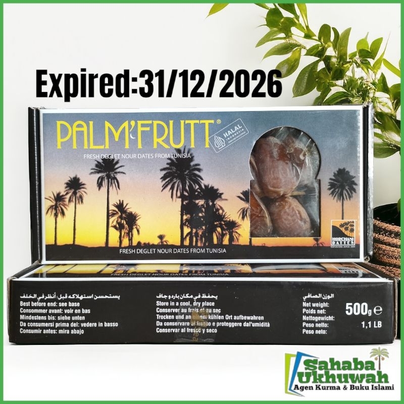 

Kurma Palm Tunisia / Algeria