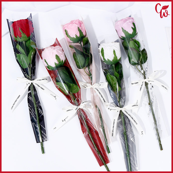 

Single Rose Plastik Bungkus Bunga Kertas Pembungkus Buket Satu Bunga Mawar Cellophane SF24