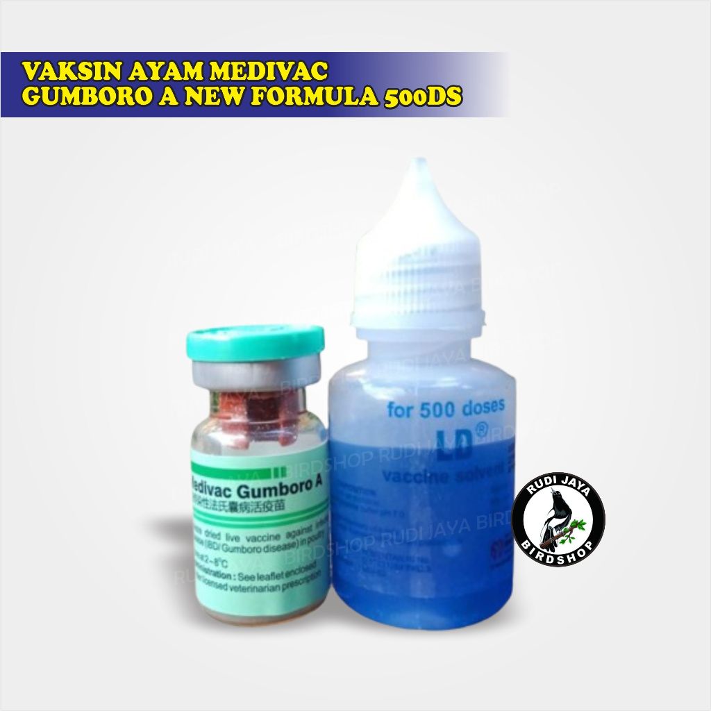 VAKSIN AYAM MEDIVAC GUMBORO A 500DS VAKSIN AYAM USIA 7 HARI MENCEGAH AYAM UNGGAS SAKIT GUMBORO