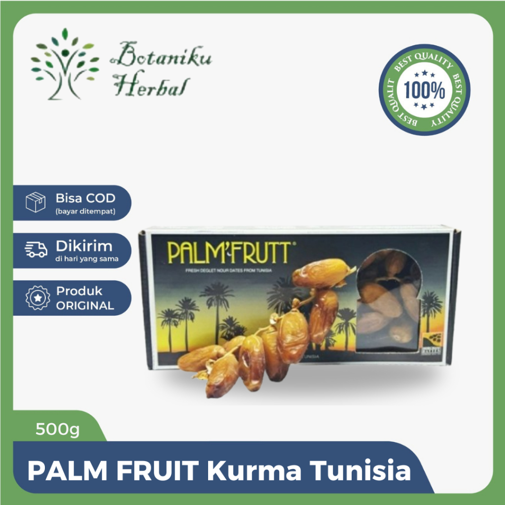 

PALM FRUIT - Kurma Tunisia Tunis Tangkai Asli Dates Original Fresh 500gr