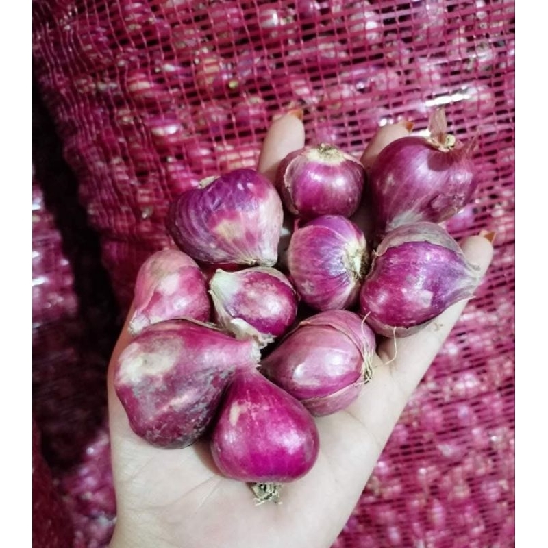

BAWANG MERAH LOKAL TULUNGAGUNG SUPER 1KG