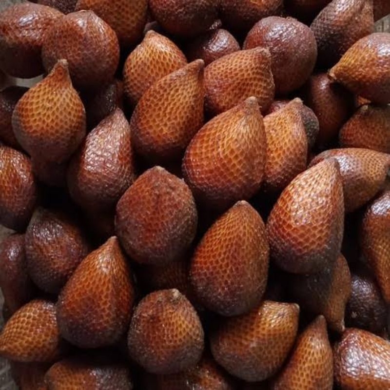 

Salak Pondoh Manis Besar 500 gram 1000 gram