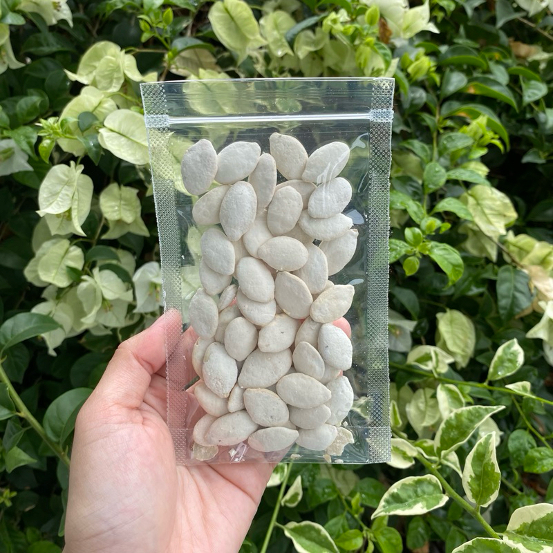 

Kuaci Biji Labu Putih (40gr)
