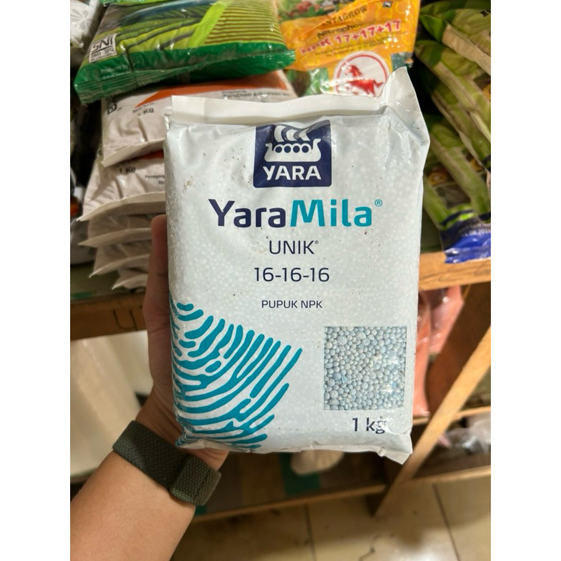 Pupuk NPK 16-16-16 Yaramila dan Mutiara