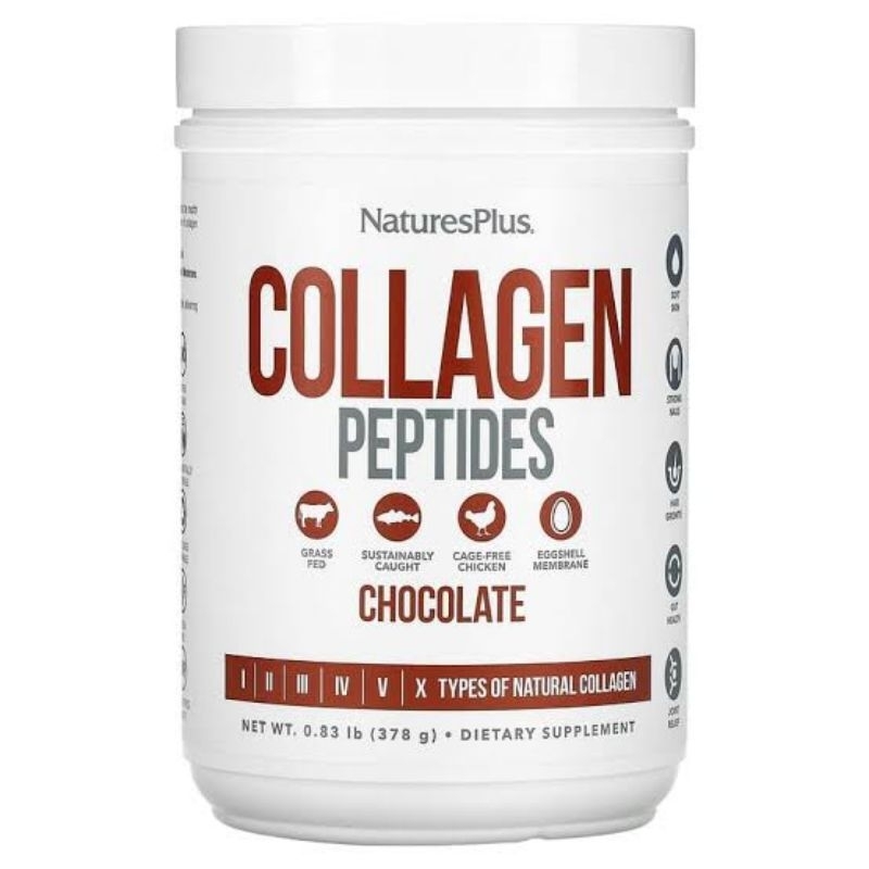 Collagen Peptides Chocolate Powder Suplemen Vitamin Nutrisi Hair, Skin, Nail & Joint Health, Immune 