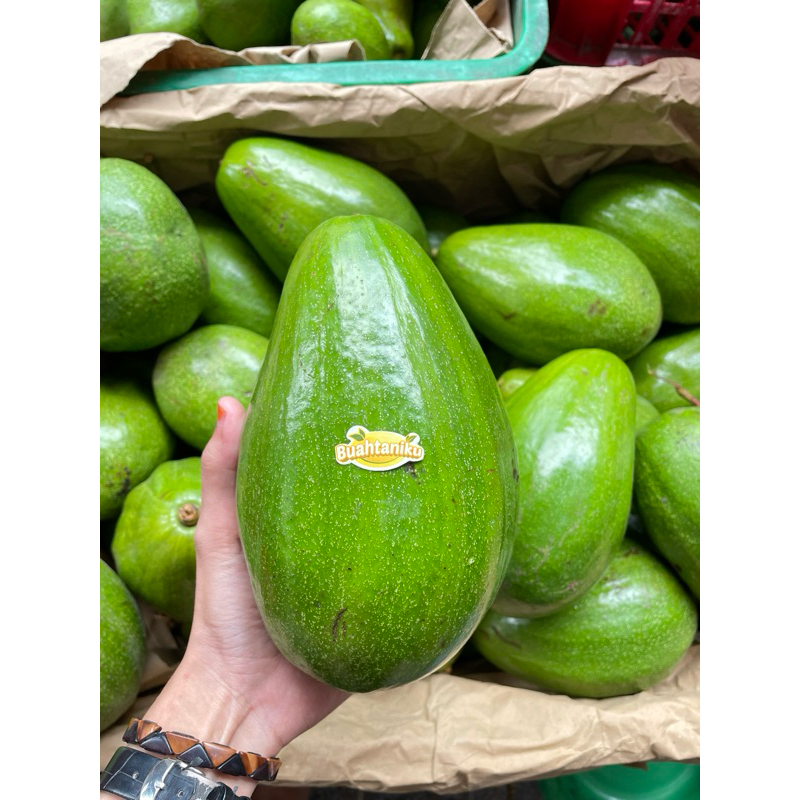 

Alpukat Aligator JUMBO 2KG ISI 3