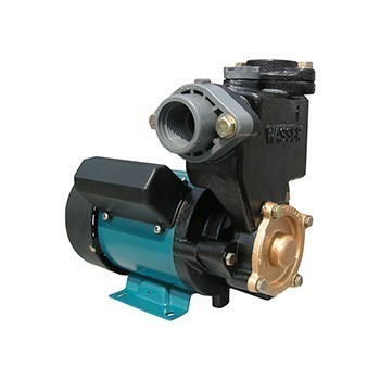 WASSER SHALLOW PUMP |PW-131E/125W
