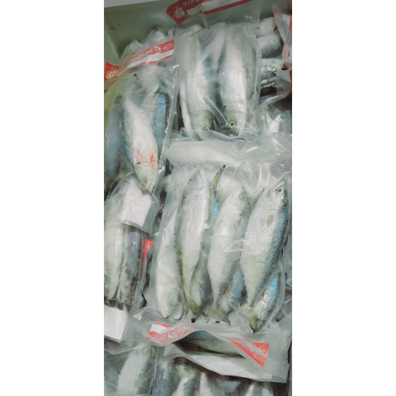 

IKAN KEMBUNG FROZEN 1KG