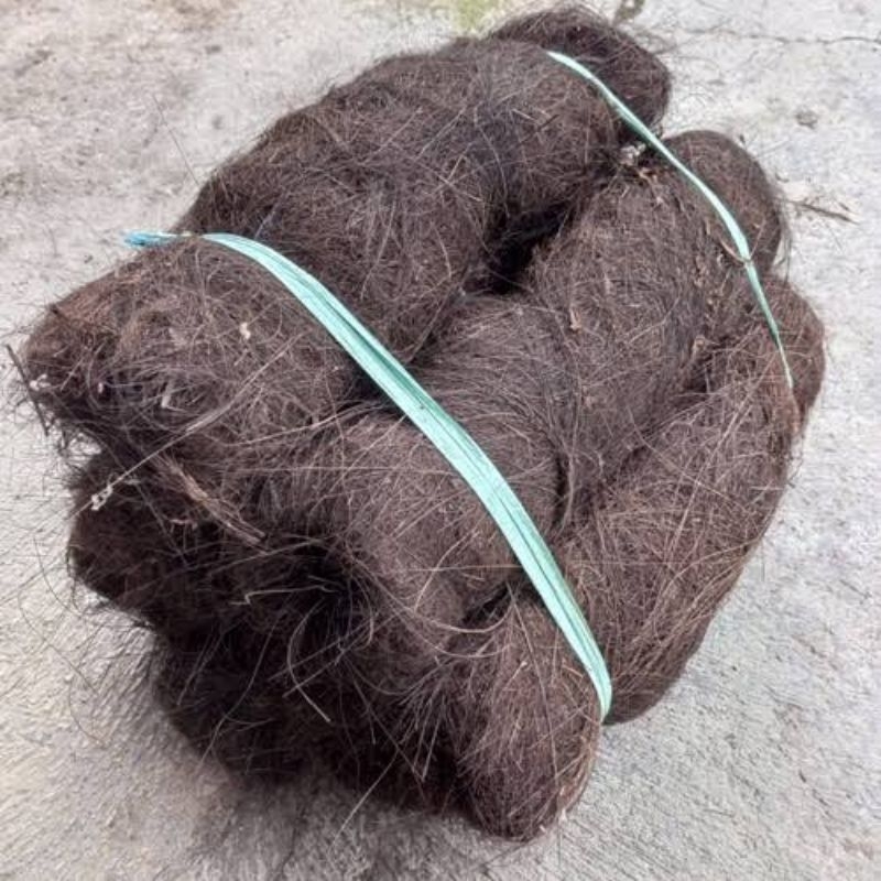 Ijuk aren/Ijuk Resapan/Media Filter Air/Saringan Air/Ijuk aren untuk penetasan telur ikan