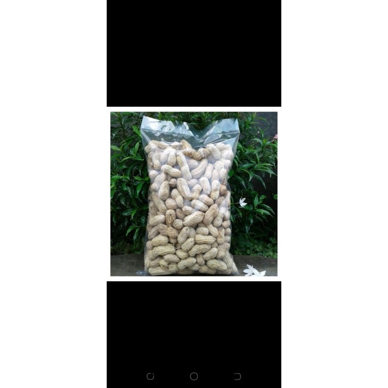 

KACANG OVEN PERMATAN, 250grm me®kende snack###