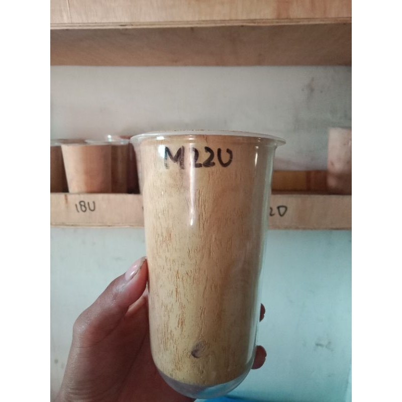 molding kayu cup merak 22 oval