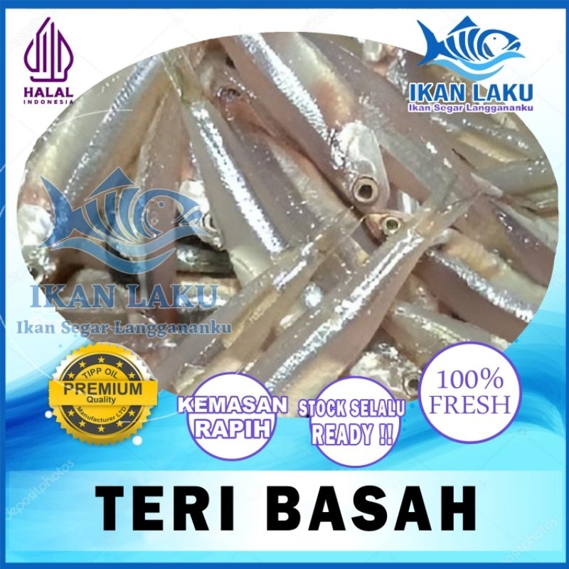 

PRODUK BARU!! IKAN TERI BASAH FRESH PREMIUM FRESH TERMURAH BERGARANSI IKAN LAKU IKAN SEGAR IKAN BEKU