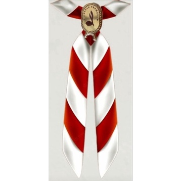 Terbaru Hasduk Pramuka SD SMP SMA Pembina Guru Kacu Pramuka SD SMP SMA Pembina Guru Hasduk Dasi Pram