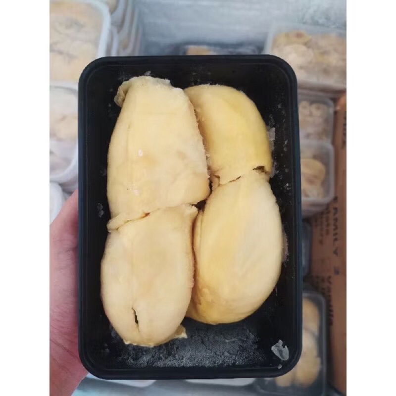 

PROMO Durian Montong Bali Black Box 500GRAM