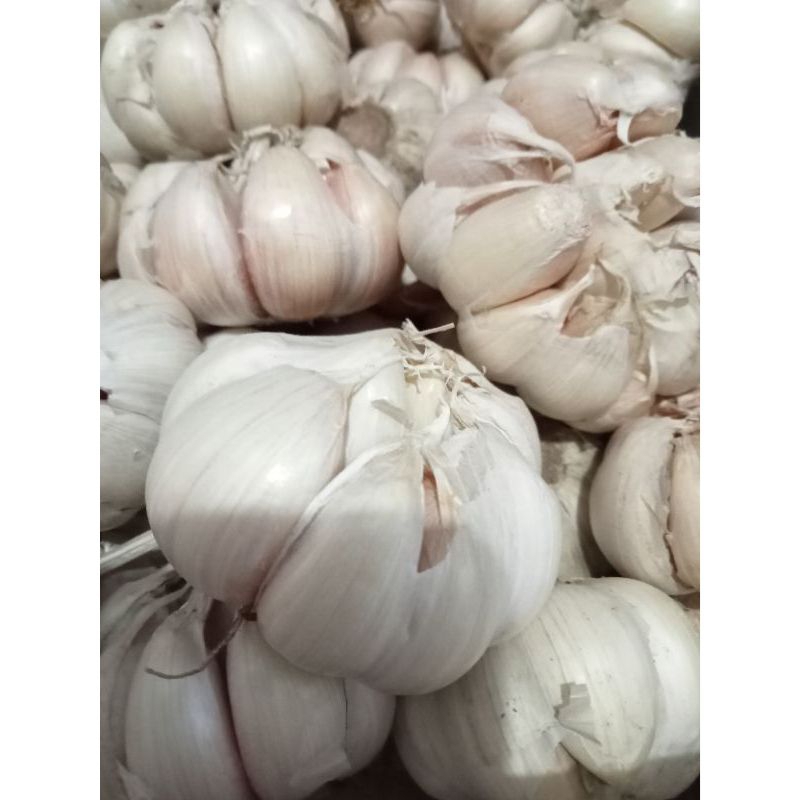 

Bawang Putih kemasan 1 Kg