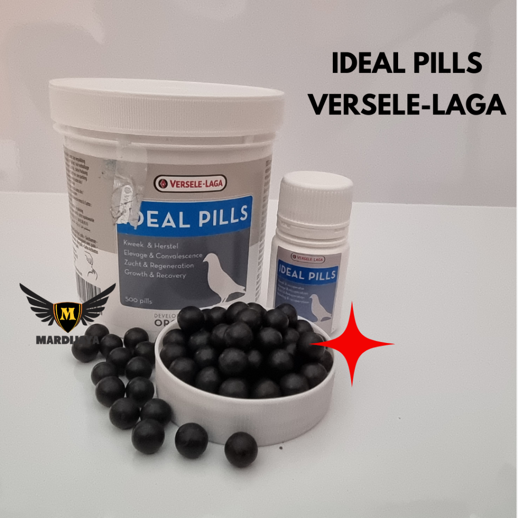 IDEAL PILLS MERPATI DARI VERSELE-LAGA