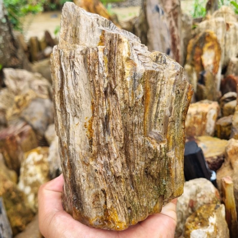 Termurah 1kg batu fosil kayu/galih kelor