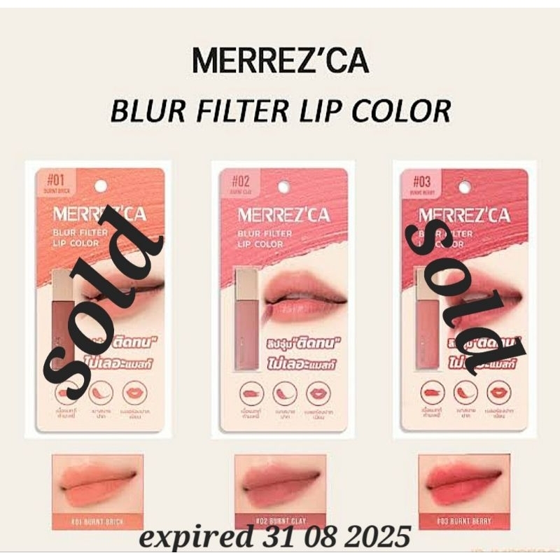 MERREZ'CA BLUR FILTER LIP COLOR 02 BURNT CLAY ORIGINAL MADE IN THAILAND lipstick lipmatte lipcolor