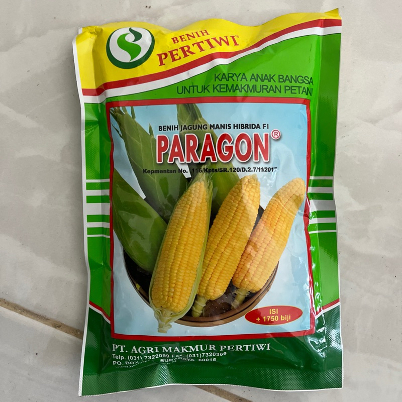 Benih Jagung Manis PARAGON