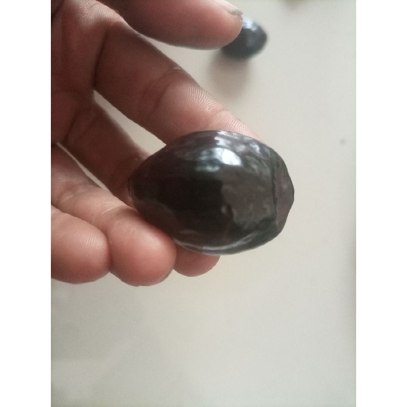 Muncang adu panjangan jawaan siap du
