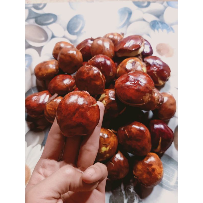 

JENGKOL TUA SUPER 1KG