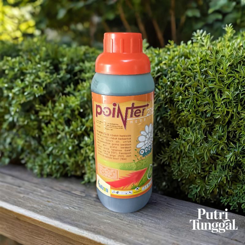 Pointer 276SL herbisida kontak pembasmi gulma