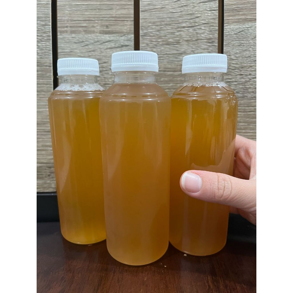 

Kombucha Segar 240ml – Minuman Probiotik untuk Hidup Sehat! #SCOBY #KOMBUCHA