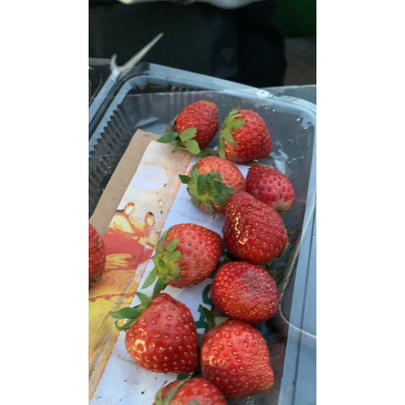 

stroberi