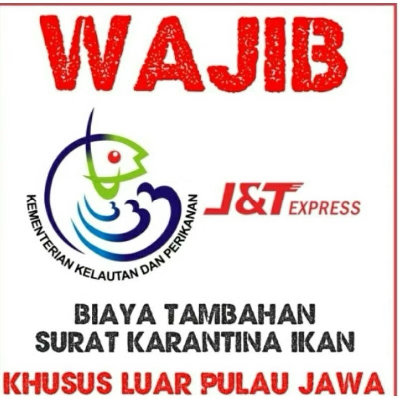 

dokumen karantinaa untuk luar pulau